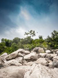 Rocks by trees against sky