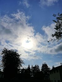 Low angle view of trees against cloudy sky