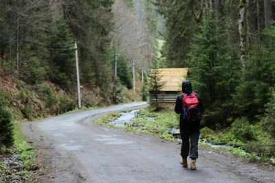 Full length rear view of hiker walking on road amidst trees