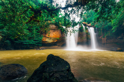 Scenic view of waterfall in forest