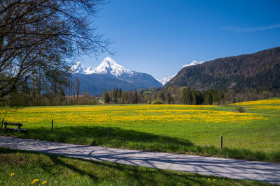 nature