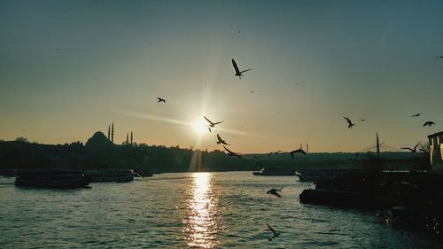 Silhouette birds flying over lake against sky during sunset