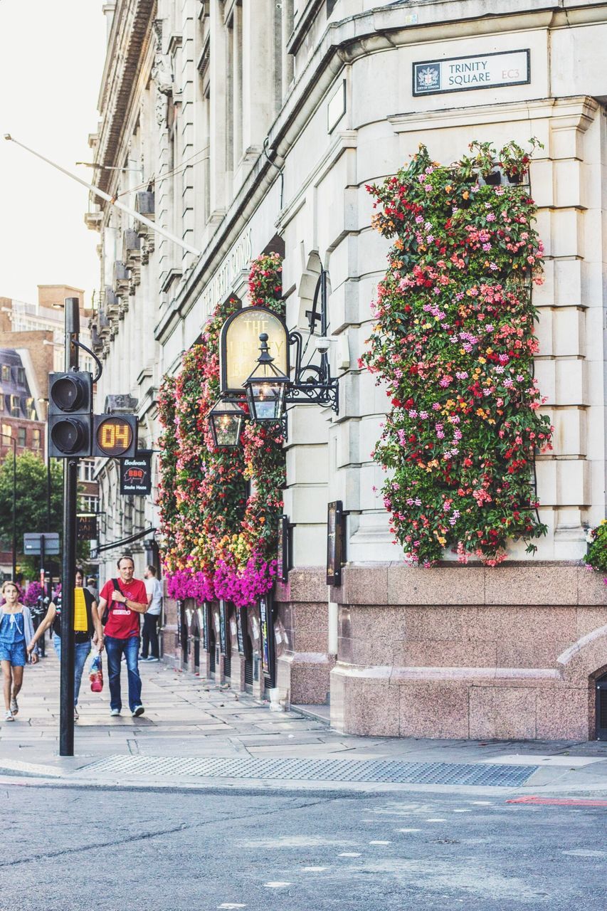 architecture, built structure, building exterior, day, outdoors, growth, facade, pink color, decorated, flower tree