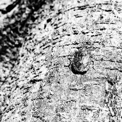 Full frame shot of white background