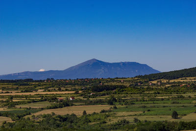 Scenic view of field against clear blue sky