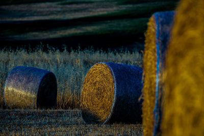 Close-up of hay bales