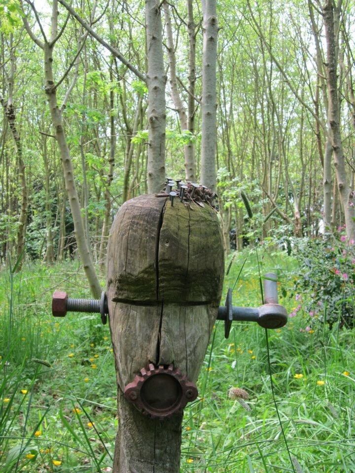 Art in woodland