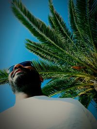 Low angle view of palm tree against sky