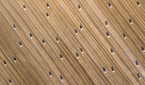 Full frame shot of wood