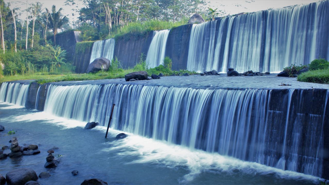 SCENIC VIEW OF RIVER FLOWING THROUGH TREES