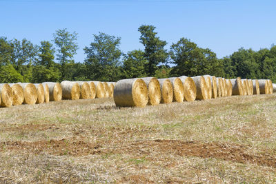 Hay bales on field against sky