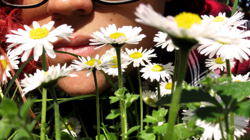 Close-up of hand flowers blooming outdoors