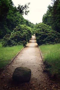 Dirt road amidst field against clear sky