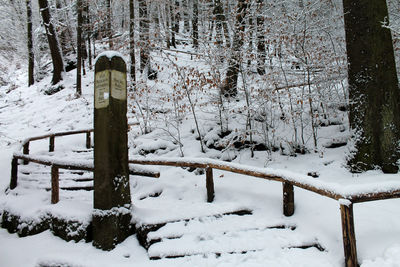 Snow covered landscape and trees