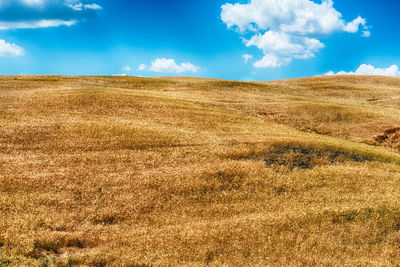 Landscape of dry fields in the countryside in tuscany, italy. concept for agriculture and farmlands