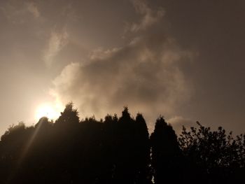 Low angle view of silhouette trees against sky during sunset