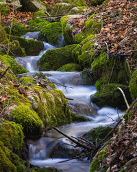 Scenic view of waterfall