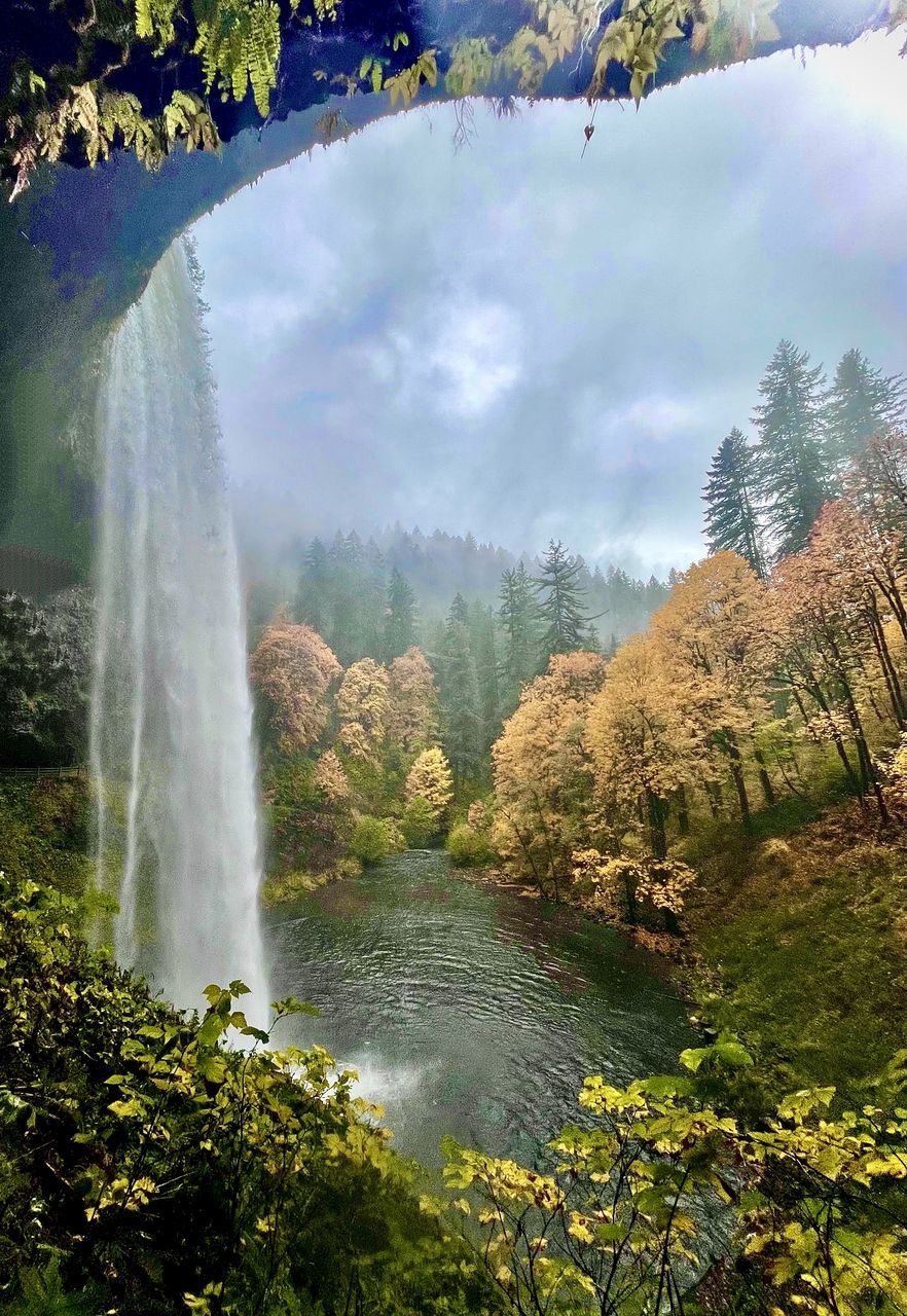 SCENIC VIEW OF WATERFALL IN FOREST