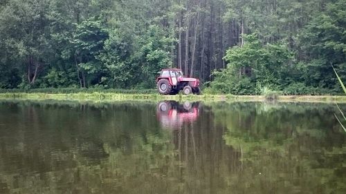 Reflection of trees in lake