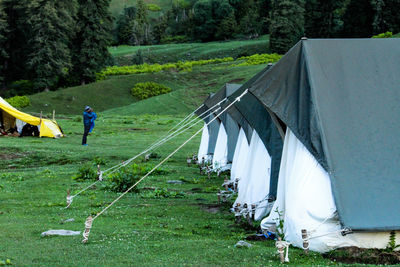 Man standing on grassland