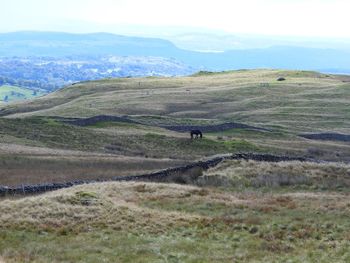 Man walking on field against sky