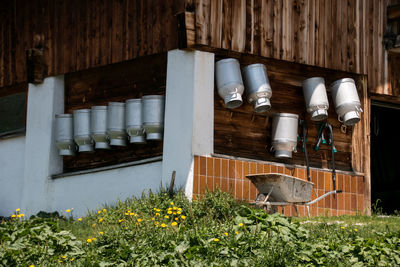 Low angle view of flowering plants by building