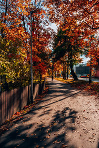 Footpath amidst trees in park during autumn