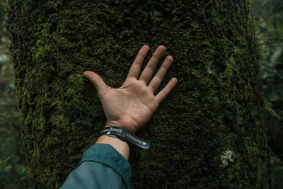 Close-up of man hand on tree trunk