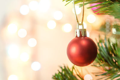 Close-up of christmas lights hanging on tree
