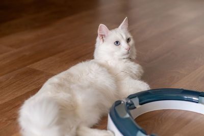 pet