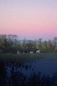 Scenic view of lake against sky at sunset