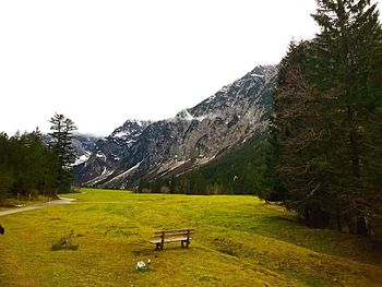 Scenic view of grassy field