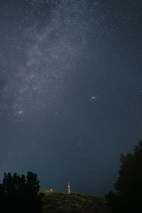 Low angle view of trees against sky at night