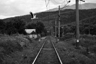 Railroad tracks by trees against sky