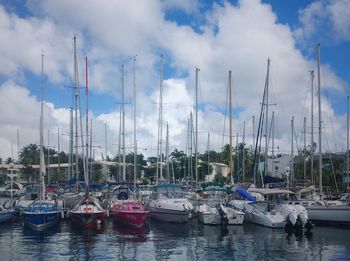 Sailboats moored at harbor