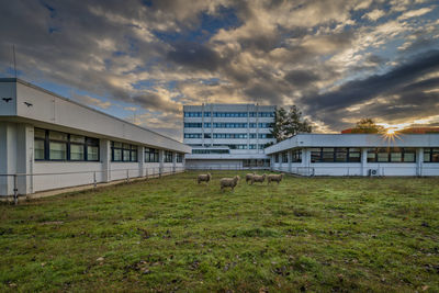 Houses on field against cloudy sky