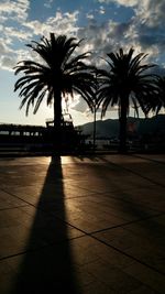 Palm trees at sunset