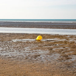 Yellow toy on beach against sky