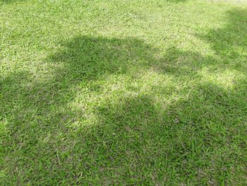 Full frame shot of green field