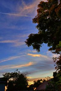 Low angle view of silhouette trees against sky at sunset