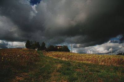 Scenic view of field against cloudy sky