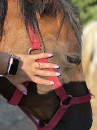 Close-up of woman holding hands