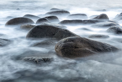 Scenic view of sea waves