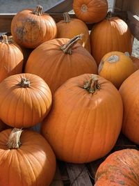 High angle view of pumpkins for sale at market