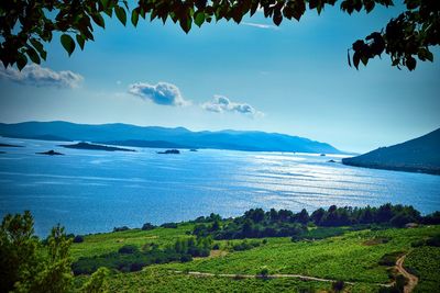 Scenic view of bay against sky