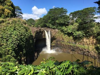 Scenic view of waterfall in forest