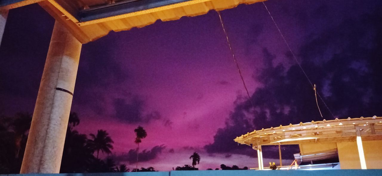 LOW ANGLE VIEW OF TREES AGAINST SKY AT NIGHT