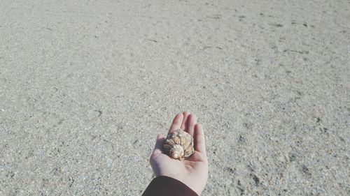 Low section of woman on the ground