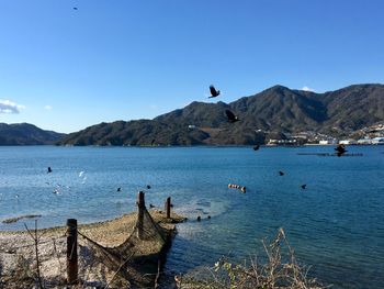 Scenic view of sea against clear blue sky