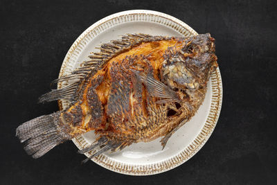 High angle view of seafood in plate